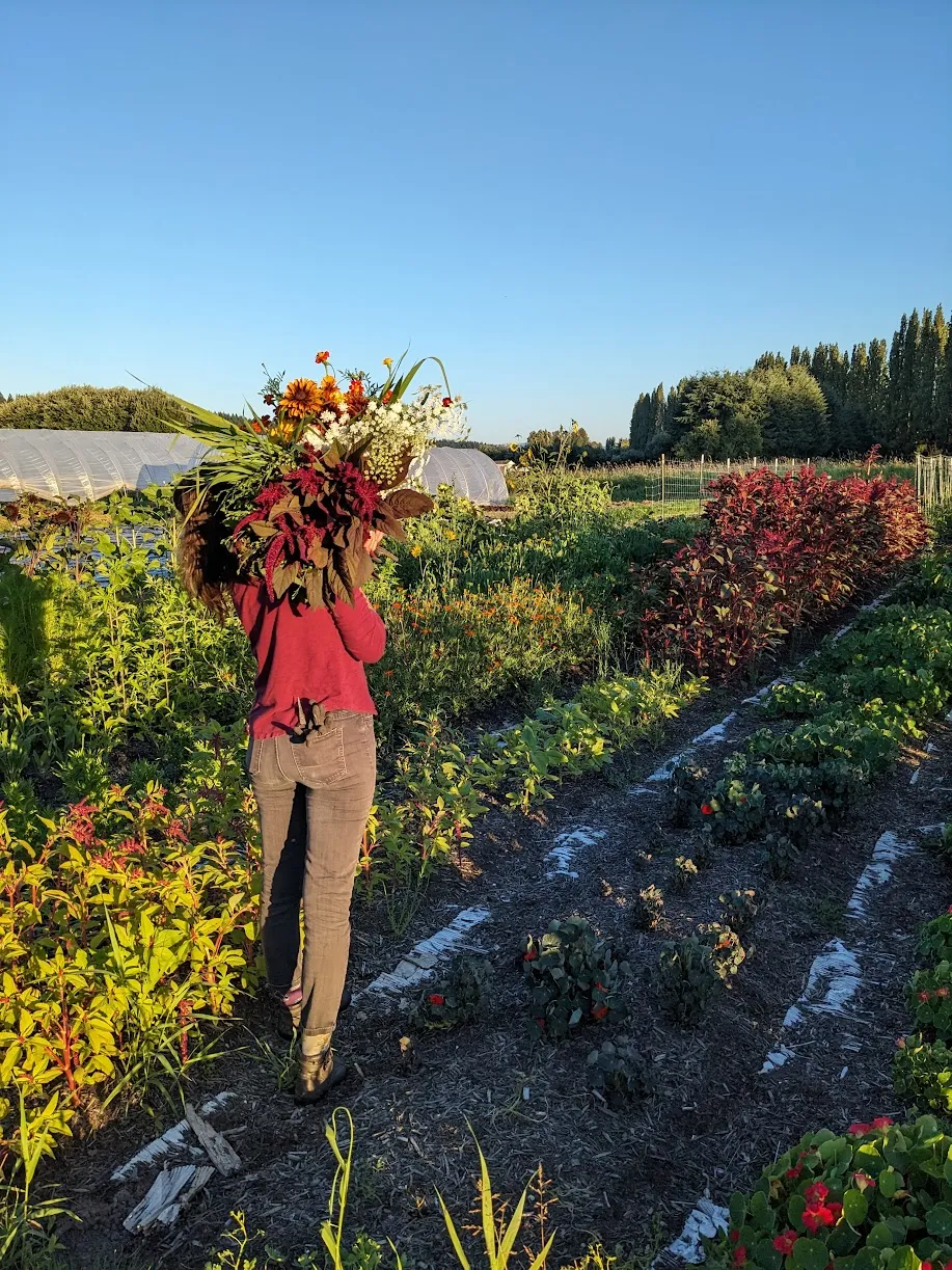 A bouquet of flowers