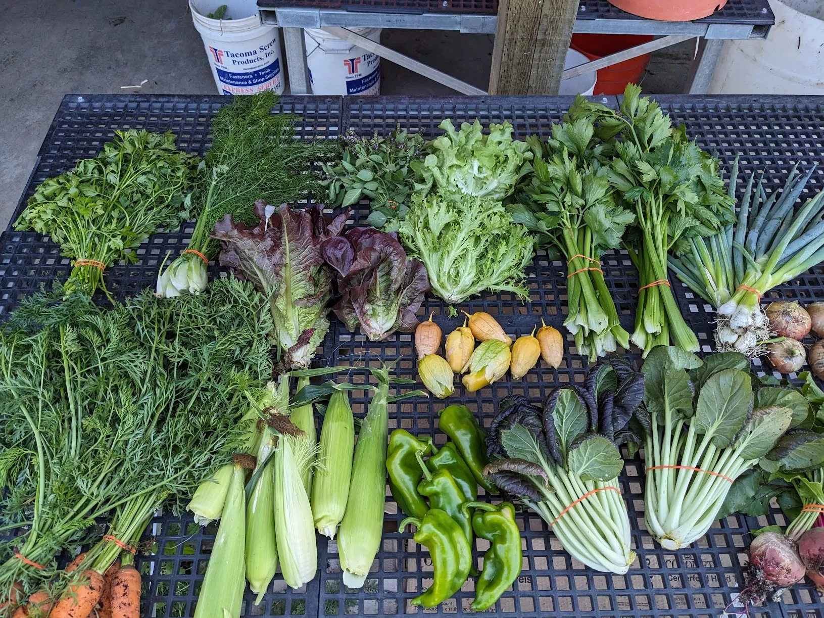 A huge variety of produce laid out on a table