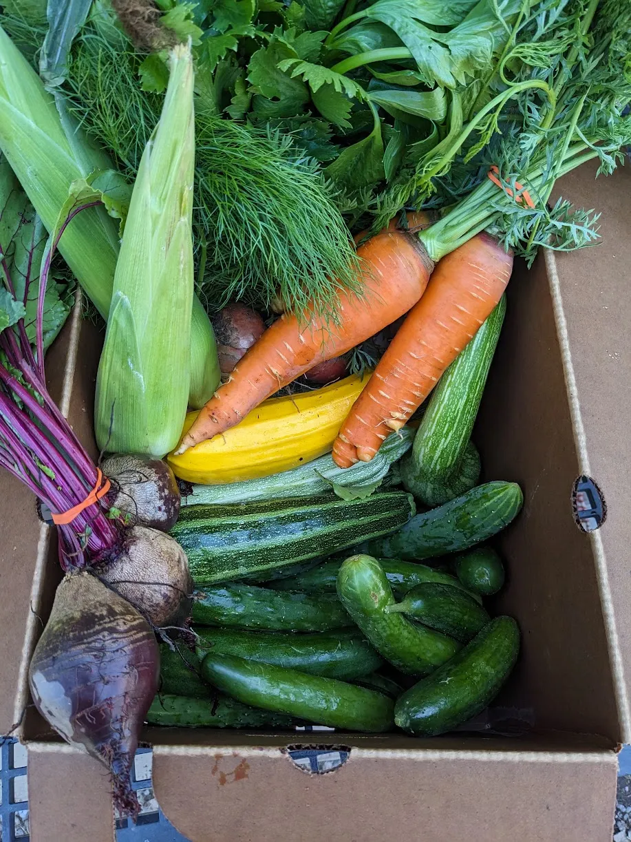 A box of mixed produce